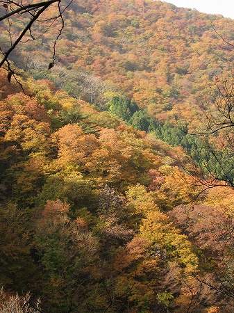 051106風景1.jpg